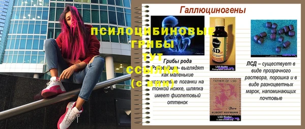 соль ск Алексеевка