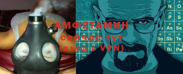 сатива Алзамай