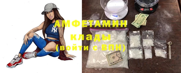 сатива Алзамай